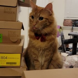 Meet your Posher, Mark